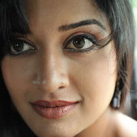 Vimala Raman Hot Pictures | Picture 51166